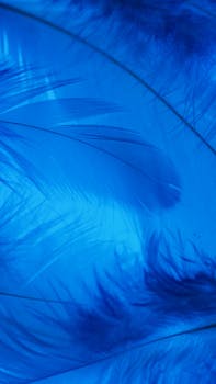 pexels-photo-7233108-7233108-1 A vibrant artistic close-up of feathers with a blue background, offering great texture.